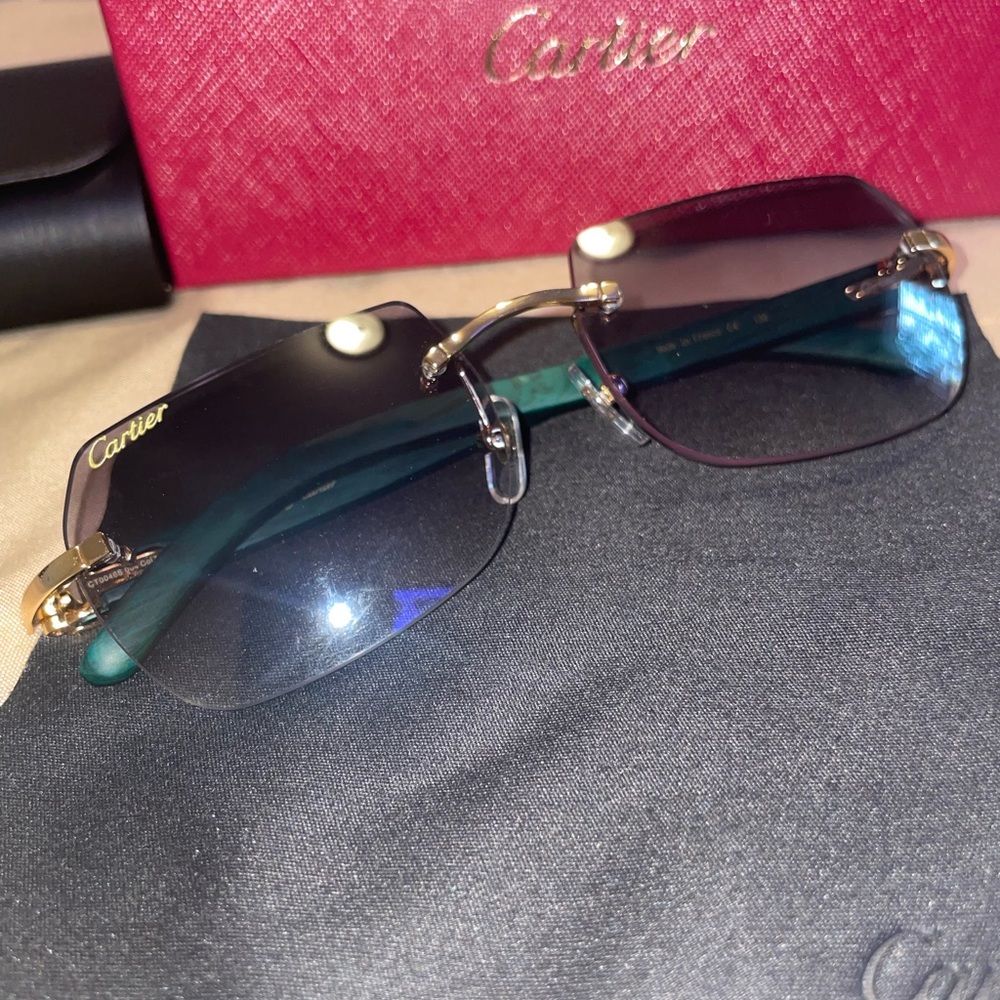 Cartier Buffalo Horn Sunglasses